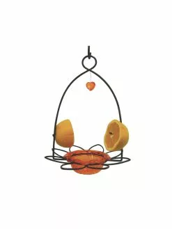 GSC Birds Choice ™ Oriole Flower Feeder