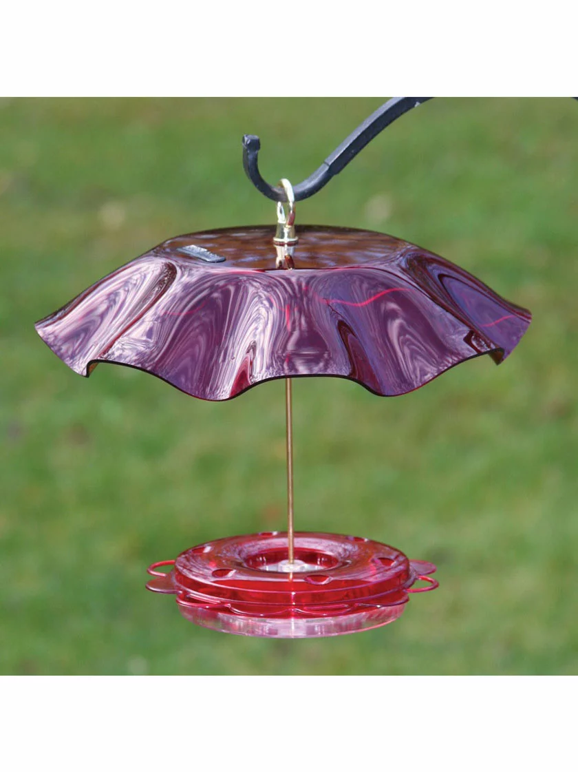 GSC Birds Choice™ Hummingbird Nectar Feeder With Weather Guard Kit - Image 3