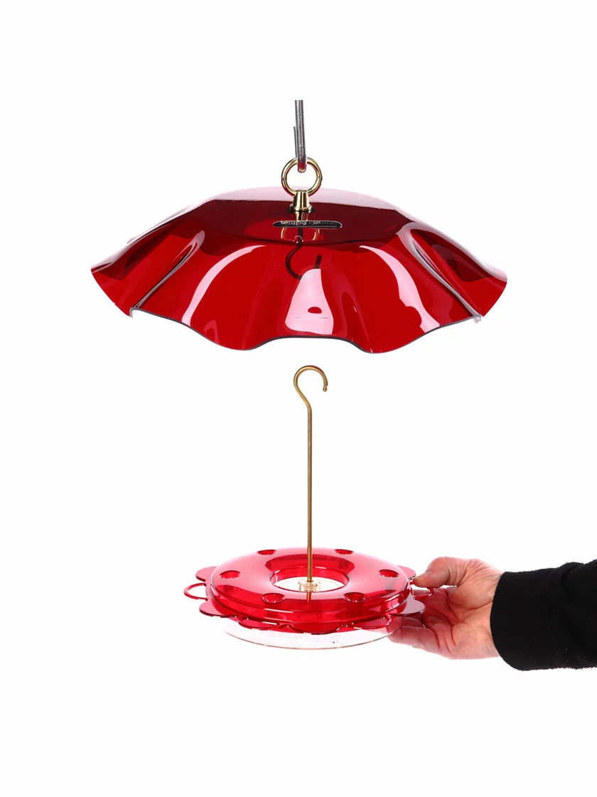 GSC Birds Choice™ Hummingbird Nectar Feeder With Weather Guard Kit - Image 2