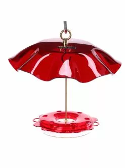 GSC Birds Choice™ Hummingbird Nectar Feeder With Weather Guard Kit