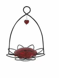 GSC Birds Choice™ Hummingbird Flower Bird Feeder