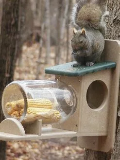 GSC Birds Choice™ Squirrel Jar Feeder
