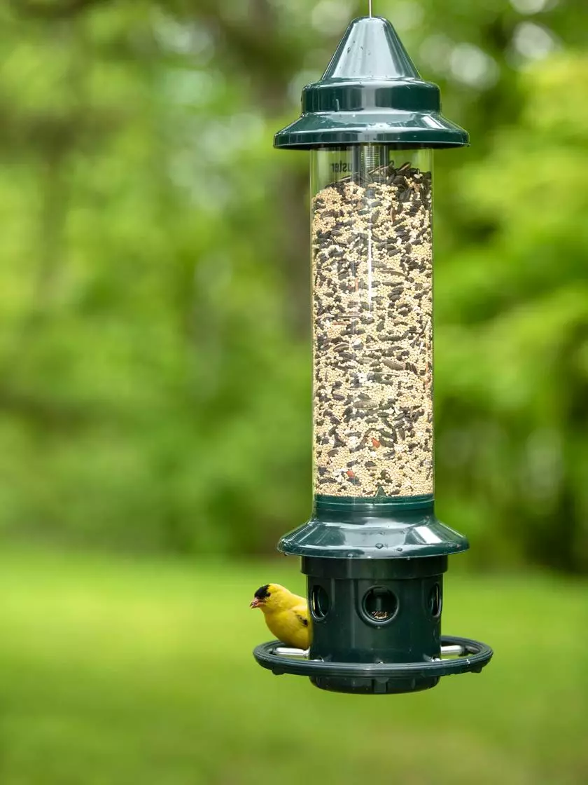 GSC Brome ® Squirrel Buster Plus™ Bird Feeder