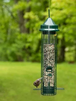 GSC Brome® Squirrel Buster™ Classic Bird Feeder
