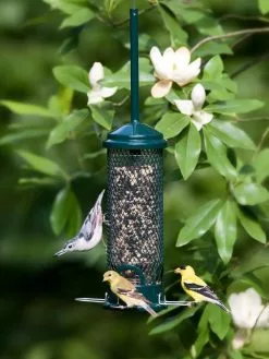 GSC Brome® Squirrel Buster™ Mini Bird Feeder