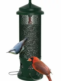 GSC Brome® Squirrel Buster™ Legacy Bird Feeder
