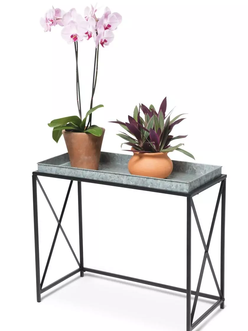 GSC Plant Stand With Galvanized Tray - Image 2