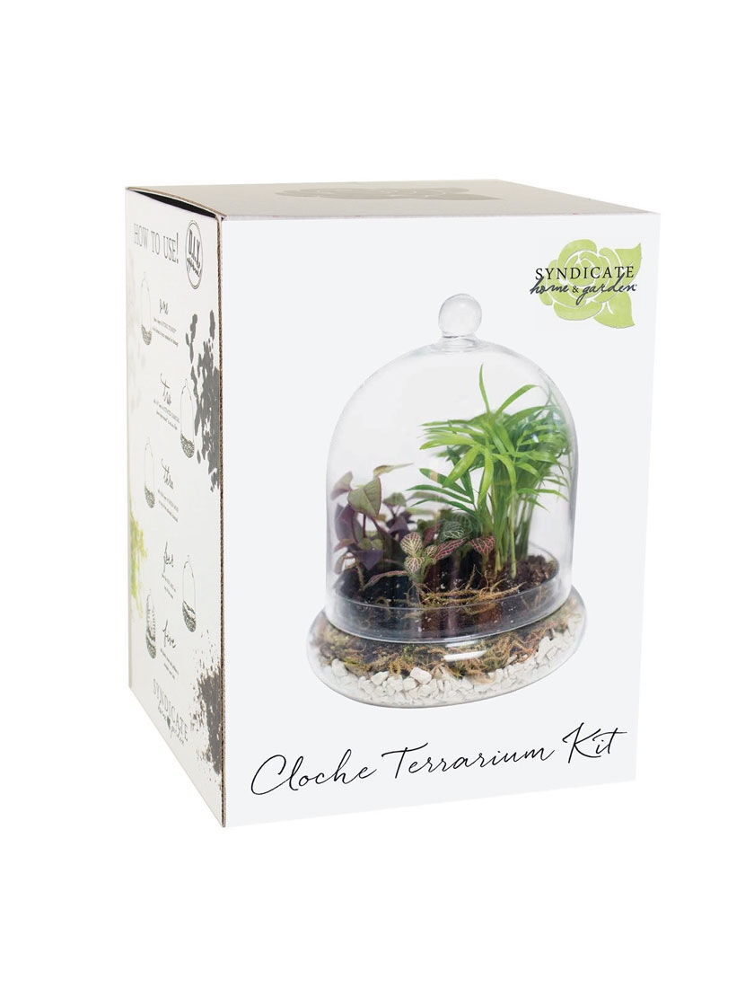 GSC Cloche Terrarium Kit Medium - Image 3