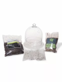 GSC Cloche Terrarium Kit Medium