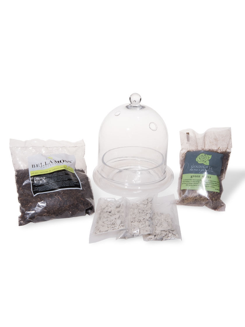 GSC Cloche Terrarium Kit Medium