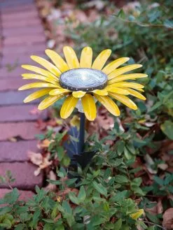GSC Desert Steel Daisy Solar Light