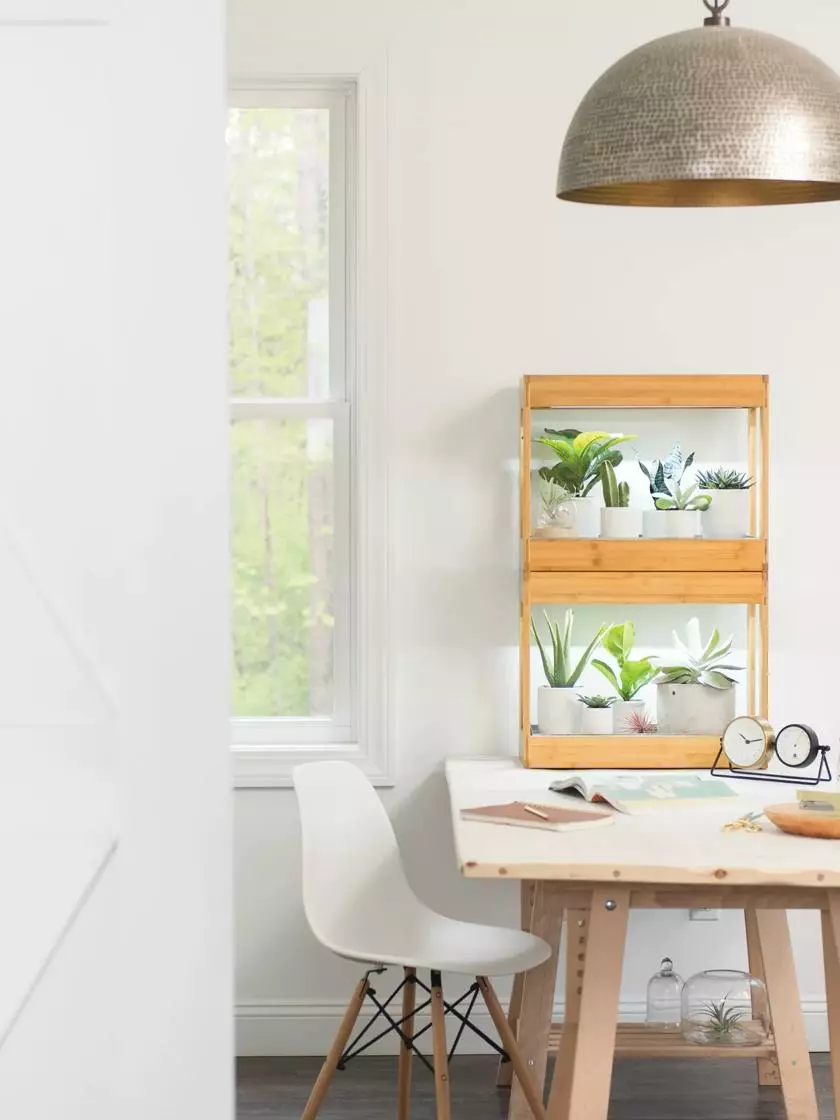 GSC Bamboo Mini LED Grow Light Garden - Image 5