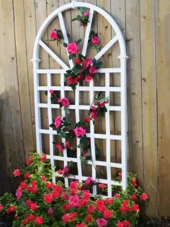 GSC Athens Vinyl Trellis