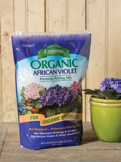 GSC Espoma African Violet Potting Mix, 4 Quart