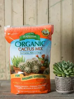 GSC Espoma Cactus Potting Mix, 4 Quart