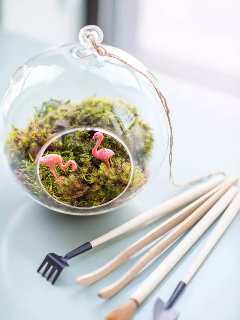 GSC Terrarium Tools, Set Of 4 - Image 3