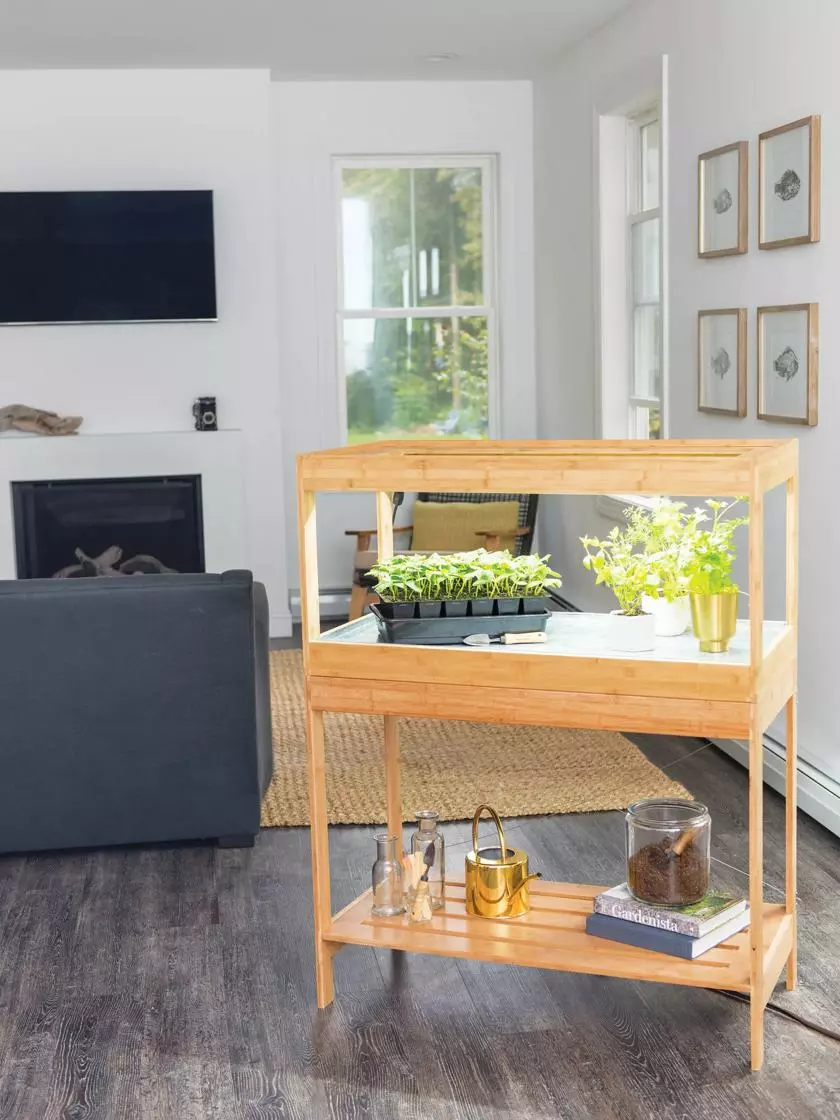 GSC Stand For Low Bamboo Grow Light - Image 4