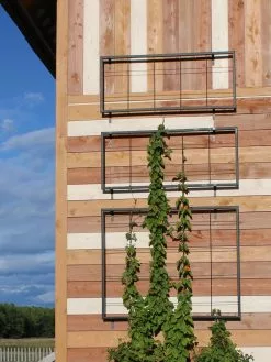 GSC Exeter Wall Trellis