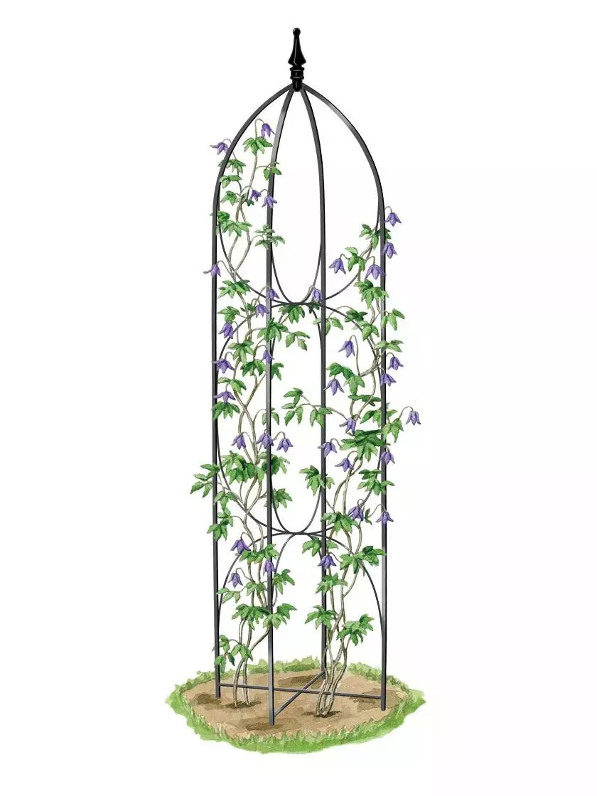 GSC Verona Obelisk - Image 3