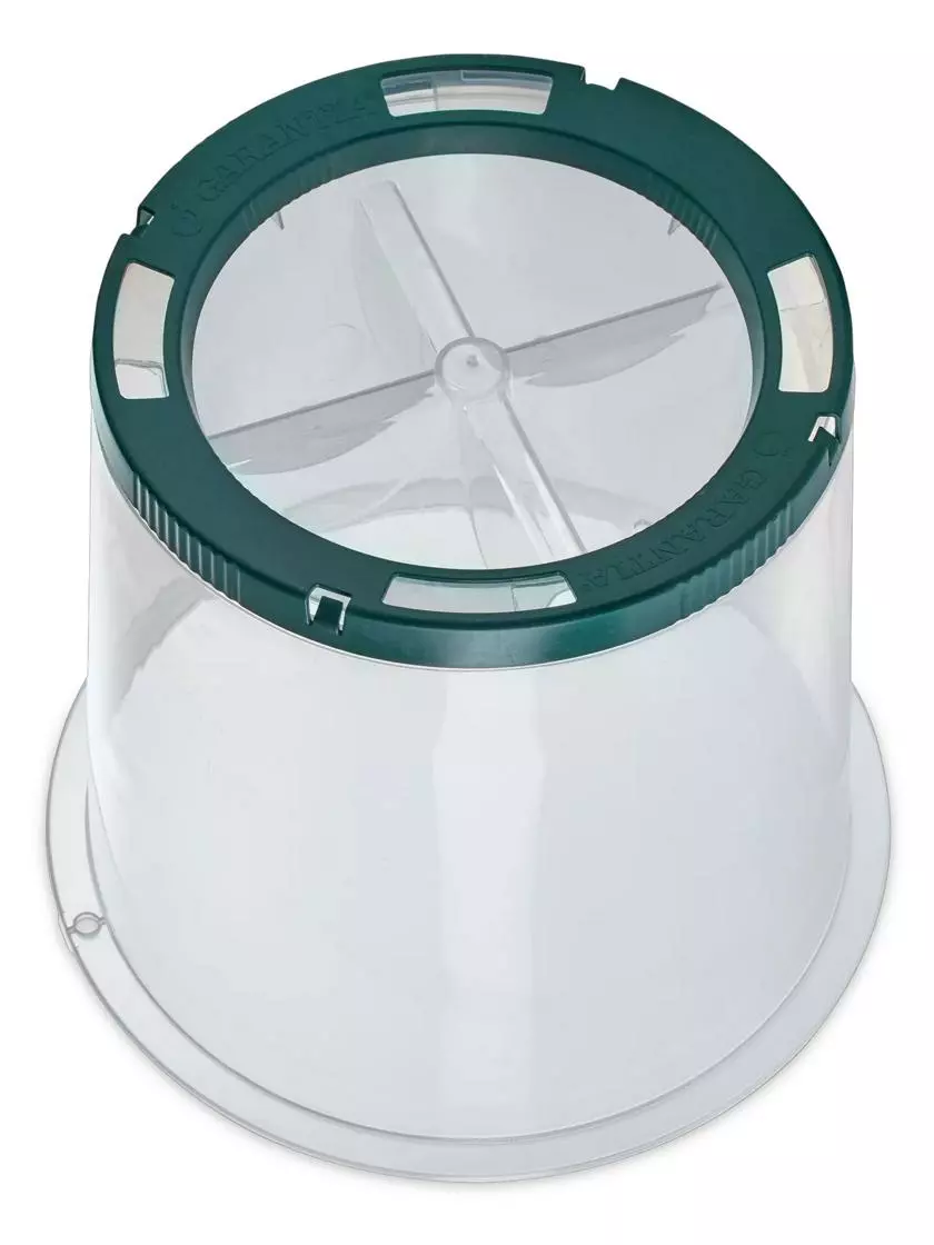 GSC Sunny Forcing Cloches, Set Of 3 - Image 2