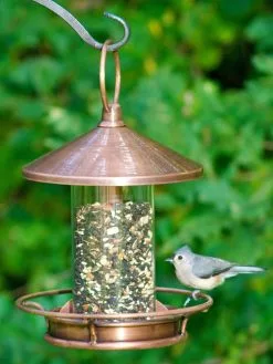 GSC Classic Perch Bird Feeder With Copper Finish