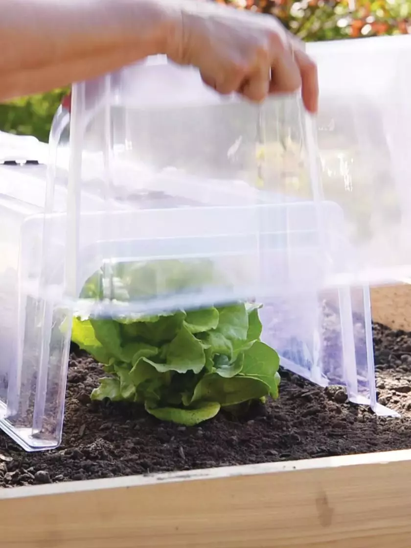 GSC Cool Weather Row Cloche Ends, Set Of 2 - Image 2