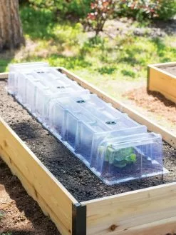 GSC Cool Weather Row Cloches Set