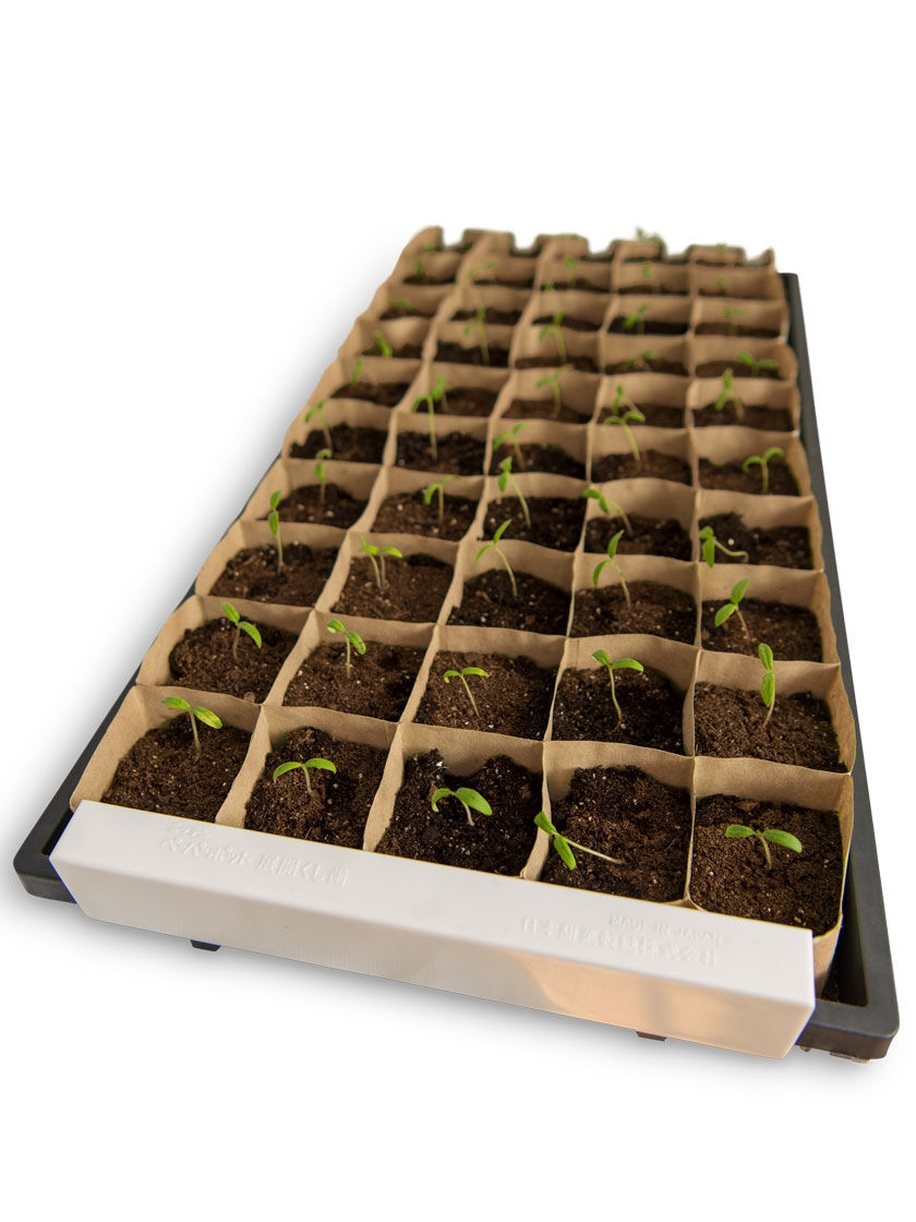 GSC Paper Pot Opening Clips, Set Of 2 - Image 2