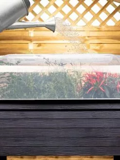 GSC Urban Balcony Elevated Planter Cloche