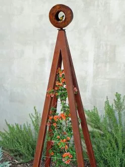 GSC Bird Cafe + Akoris Garden Tuteur Sr.