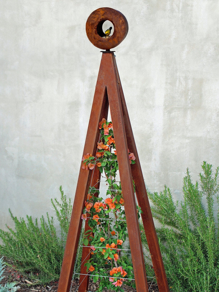 GSC Bird Cafe + Akoris Garden Tuteur Sr.