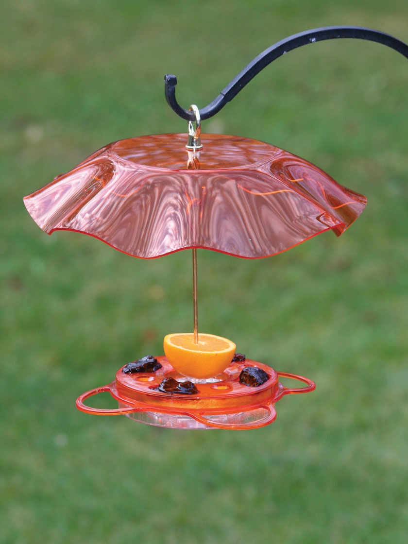 GSC Birds Choice™ Oriole Feeder With Bee And Weather Guard