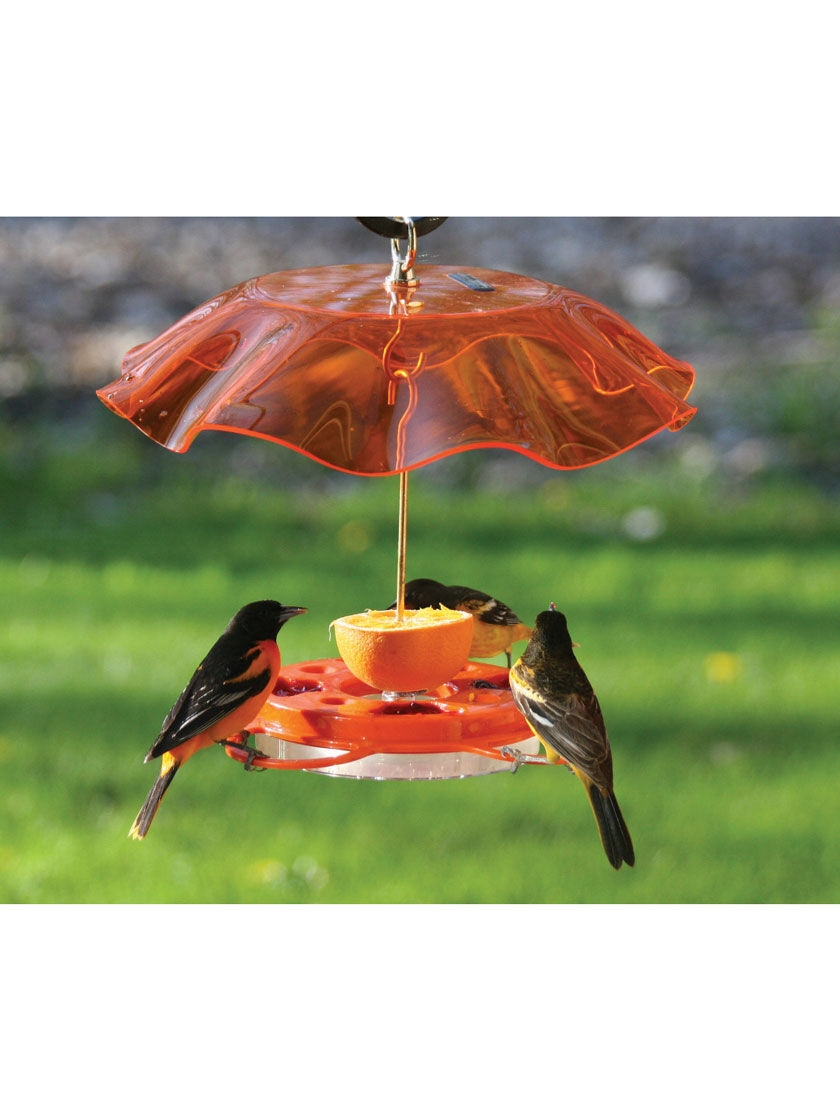 GSC Birds Choice™ Oriole Feeder With Bee And Weather Guard - Image 2