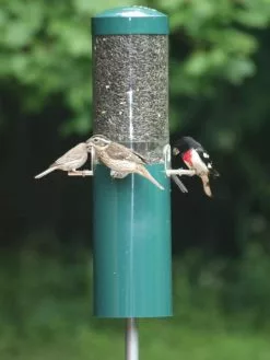 GSC Birds Choice™ Feeder With Squirrel Baffle & Pole