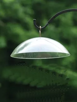 GSC Birds Choice Hanging Dome With Brass Hanger