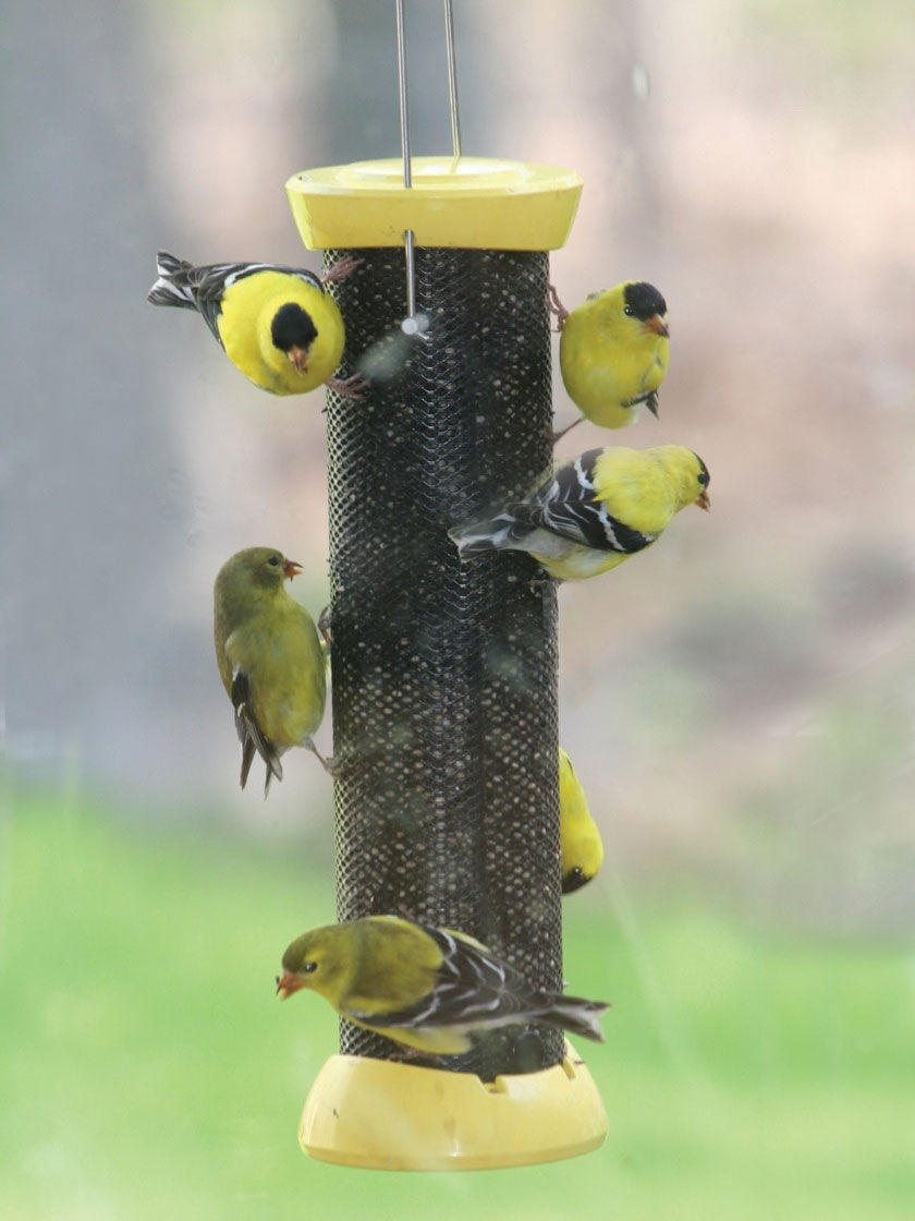 GSC Birds Choice™ Magnet Mesh Clever Clean Nyjer Feeder 18"