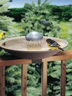 GSC Birds Choice ® Aurora Water Wiggler
