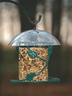 GSC Birds Choice Hanging Seed Cylinder Bird Feeder
