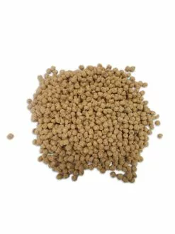 GSC Birds Choice Peanut Suet Nuggets, 5 Lbs.