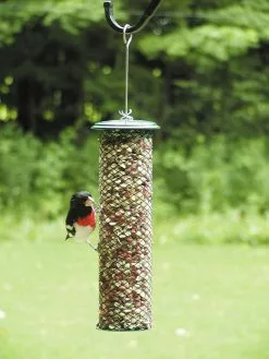GSC Birds Choice Magnet Mesh Peanut Feeder