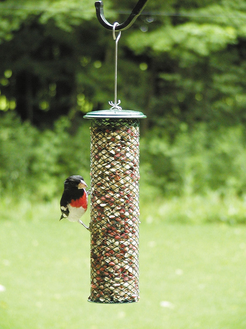 GSC Birds Choice Magnet Mesh Peanut Feeder