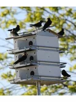 GSC Coates Purple Martin House 3-Floor