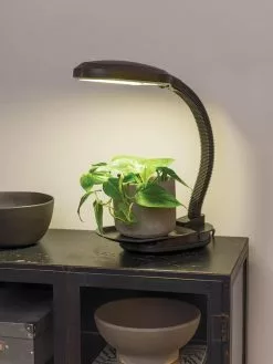 GSC Agrobrite Desktop LED Plant Lamp