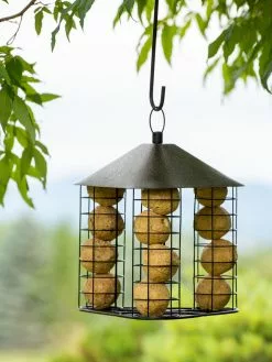 GSC Fly-Through Suet Ball Feeder