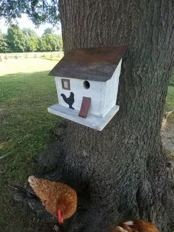 GSC Cumberland Chicken Coop Bird House
