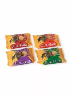 GSC Suet Balls, 4-Pack