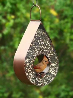 GSC Teardrop Fly-Thru™ Bird Feeder