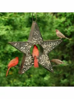 GSC Star Fly-Thru™ Bird Feeder