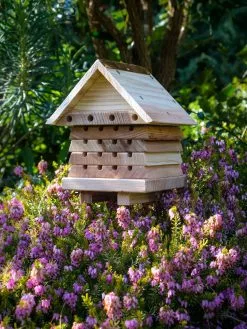 GSC Solitary Bee Hive