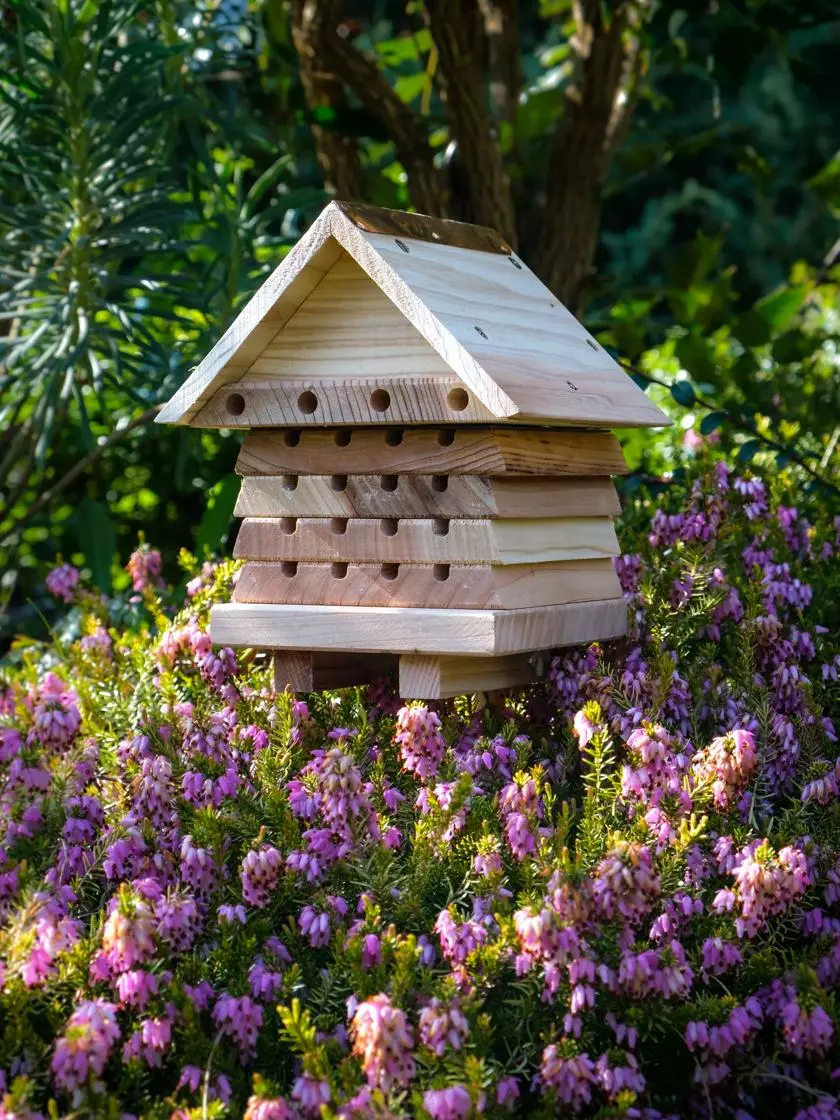 GSC Solitary Bee Hive